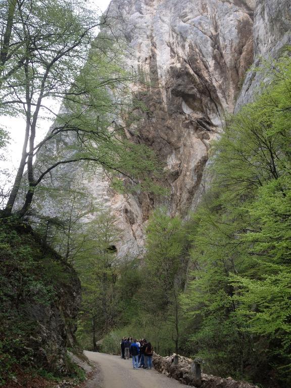 Rîşnov 若森维维乐旅馆酒店 外观 照片