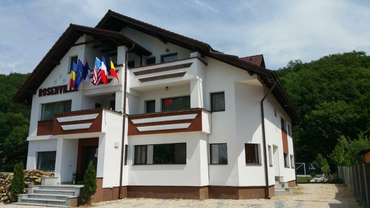 Rîşnov 若森维维乐旅馆酒店 外观 照片