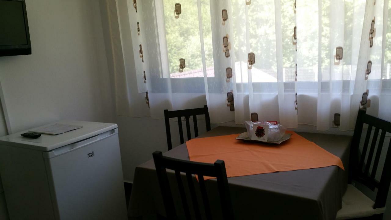 Rîşnov 若森维维乐旅馆酒店 外观 照片